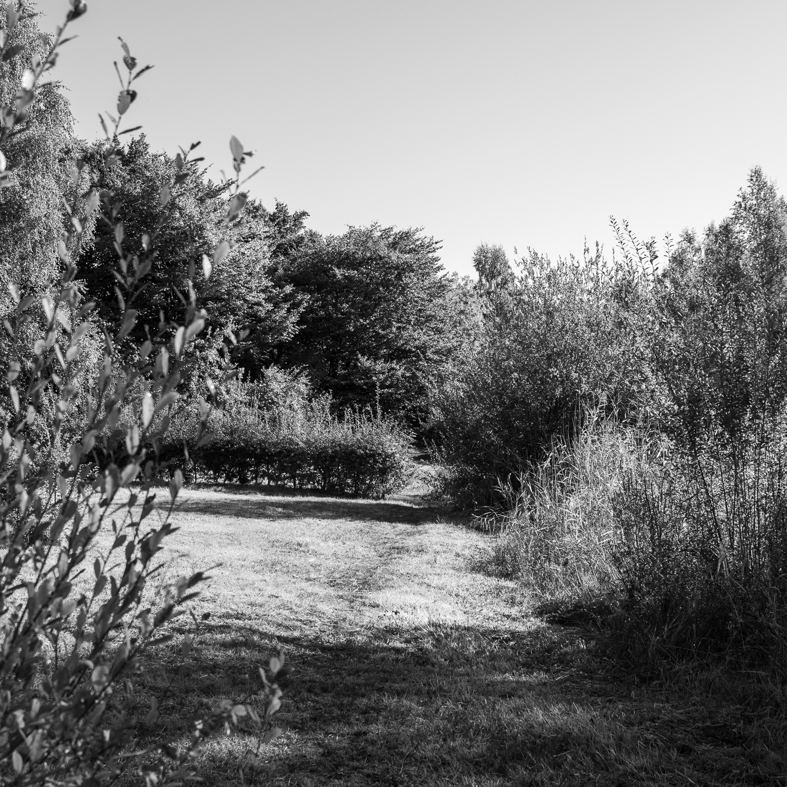 Natuur – Rust